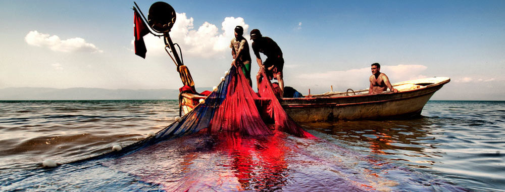 Çin En iyi HDPE Balık Ağları Satış