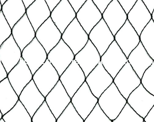 Plant Protection Agricultural Netting Mesh , Lightweight Garden Anti-Bird Net