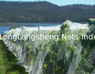 Anti-Hail Plant Protection Netting White Fabric , High Density Polyethylene